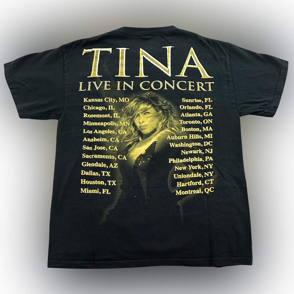 Tina Turner "Solid Gold Tour" Vintage T-shirt. - Picture 2 of 4